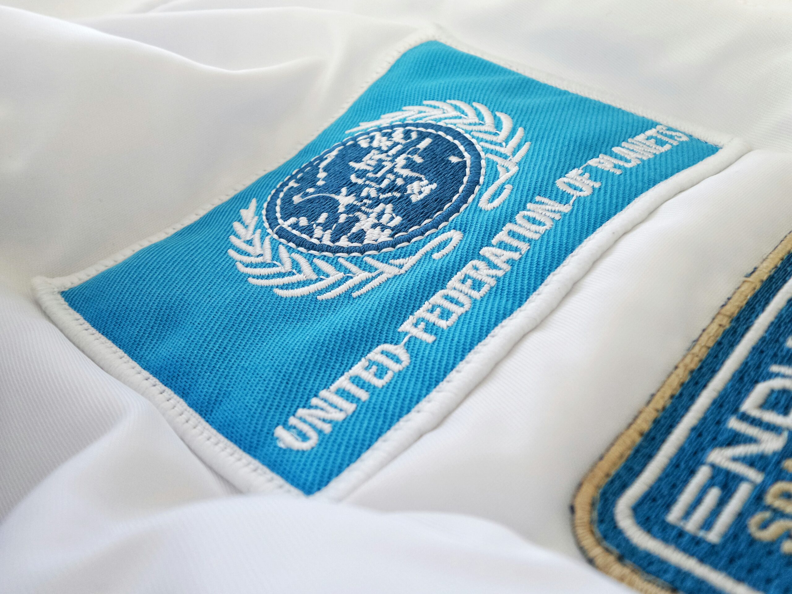 A close-up view of a patch on a shirt